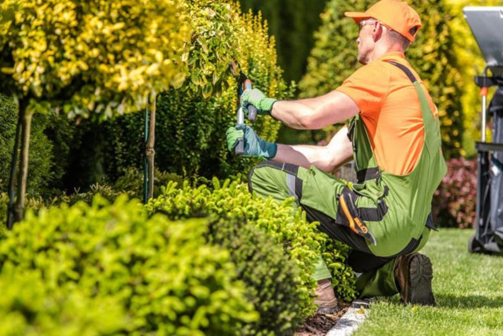 What Factors to Consider When Hiring Landscaping Services