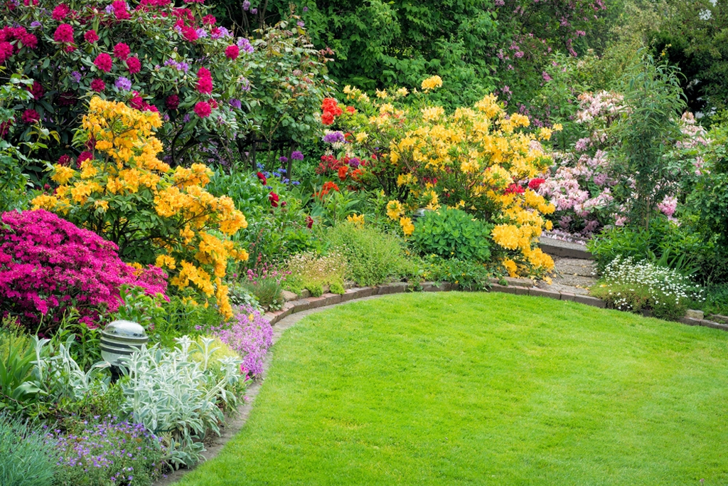 How to Prepare Your Yard for Spring