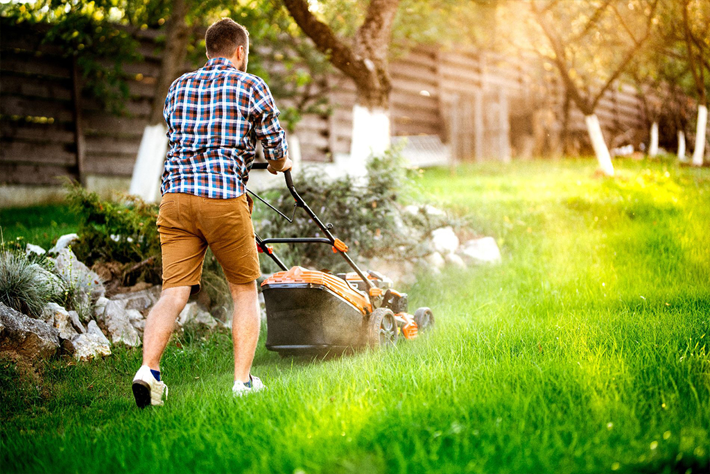 Summer Upkeep Tips for Your Lawn: Enhance Your Landscape with Quality Landscaping Materials