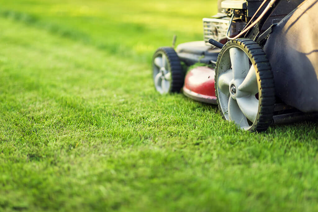 Best Lawn Upkeep Tips for Summer