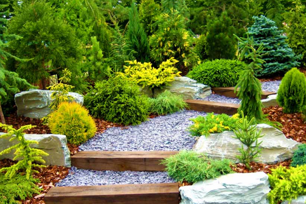 Summer Landscaping Ideas