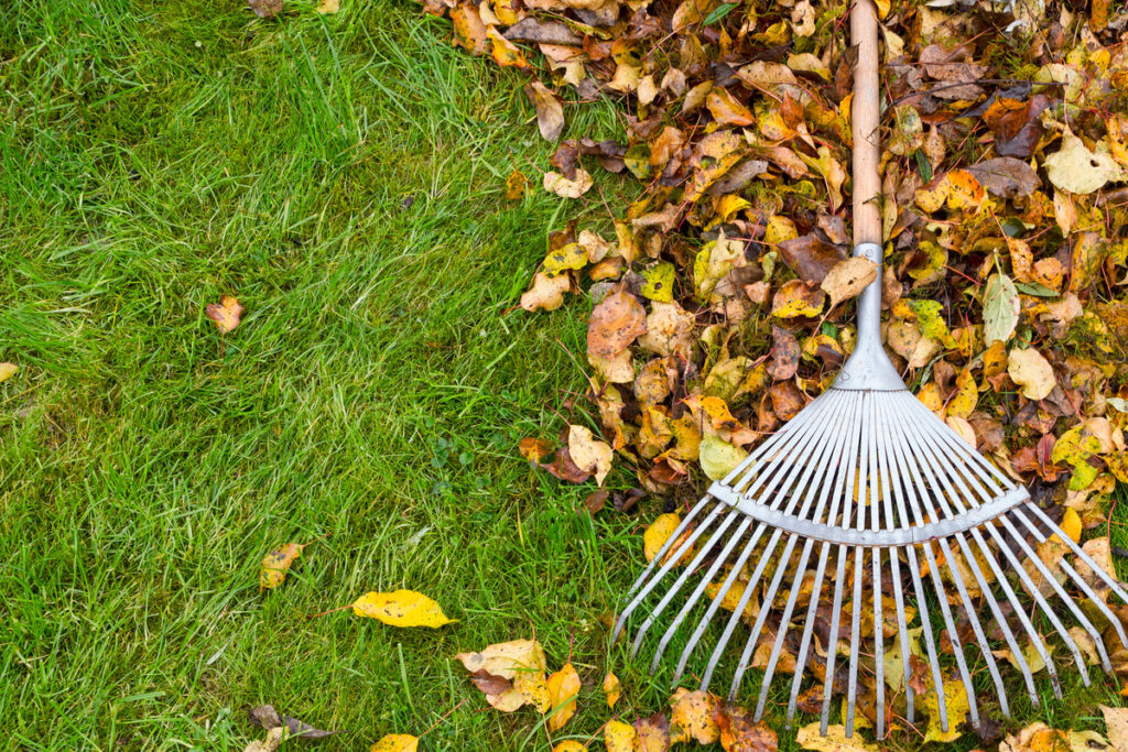 How to Prepare Your Yard for Fall