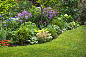 How to Landscape a Yard for Beginners: A Step-by-Step Guide