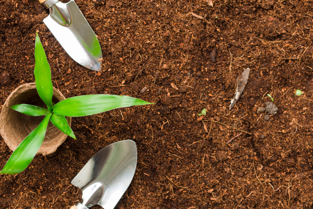 When to Use Mulch vs. Bark in Landscaping